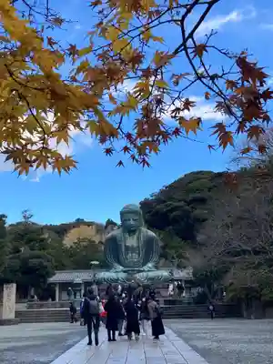 高徳院(神奈川県)