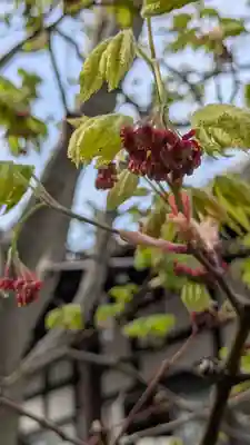 上宮王院聖徳寺(京都府)