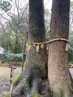 男神社(大阪府)