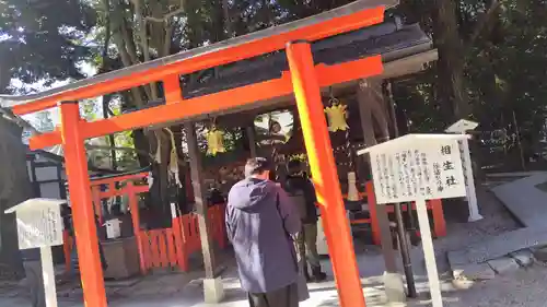 賀茂御祖神社（下鴨神社）(京都府)