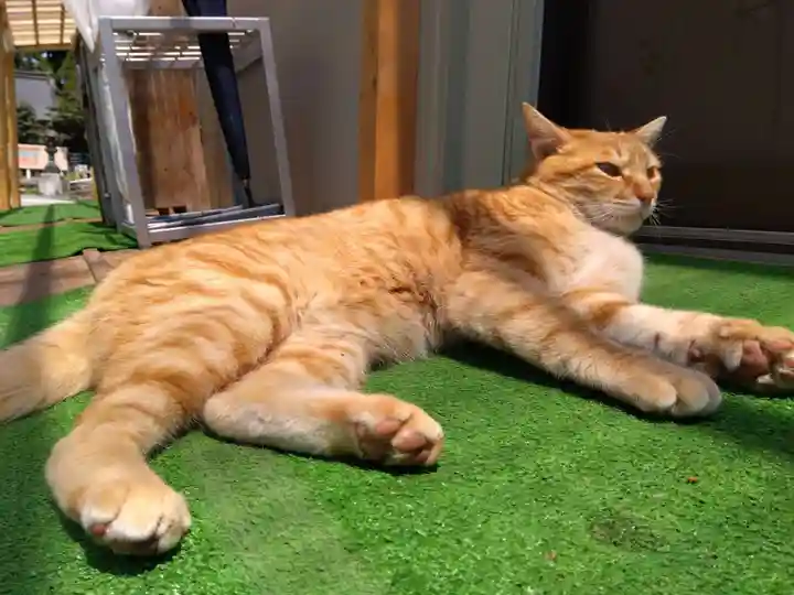 劒神社(福井県)