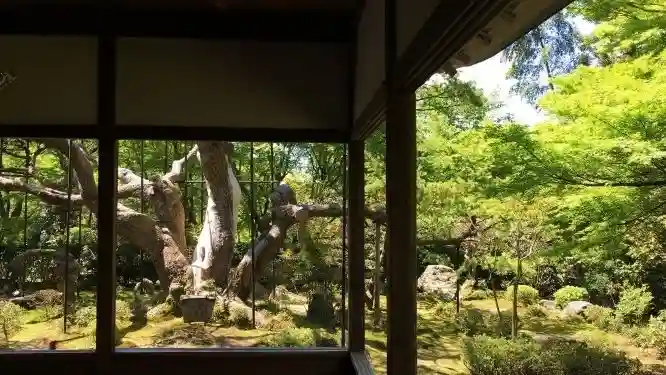 宝泉院(京都府)