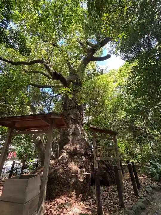 高座結御子神社(熱田神宮摂社)(愛知県)