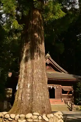 久万山総鎮守　三島神社(愛媛県)