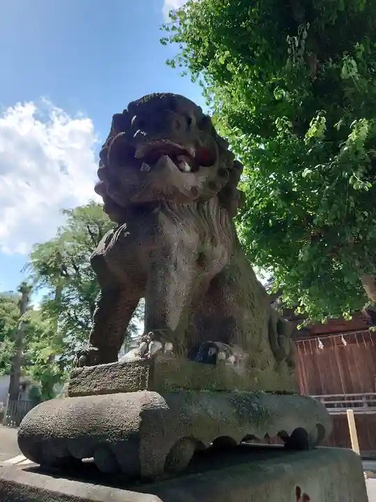 滝野川八幡神社の狛犬