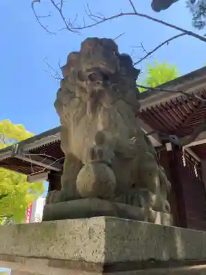 亀戸 香取神社の狛犬