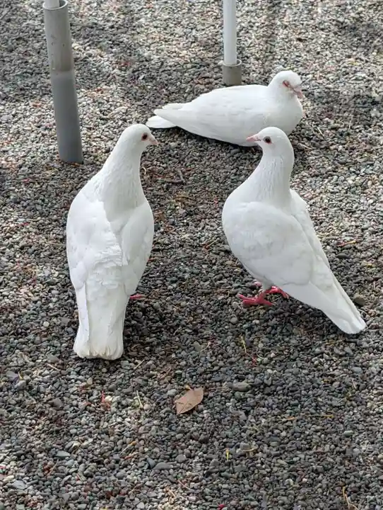 旗上弁財天社の御朱印