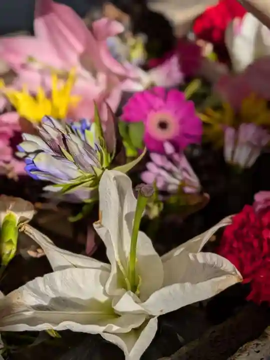 鳩森八幡神社(東京都)
