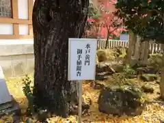 多田神社の自然