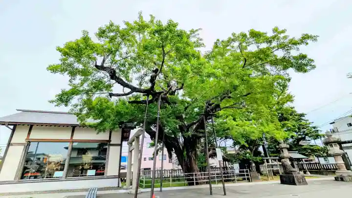豊受神社の自然