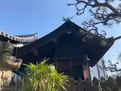 射楯兵主神社(兵庫県)