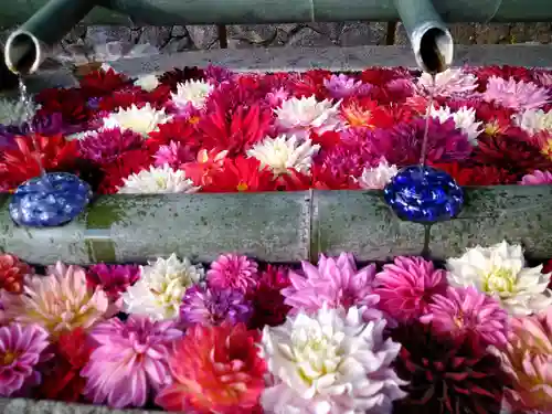岡寺（龍蓋寺）の手水舎