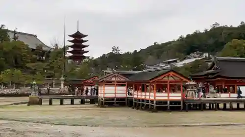 厳島神社の{uncategorized: "未分類", other: "その他", undefined: "問題あり", building: "その他建物", grave: "お墓", sacred_gate: "鳥居", guardian: "狛犬", statue: "像", buddha: "仏像", history: "歴史", nature: "自然", garden: "庭園", animal: "動物", pagoda: "塔", temizu: "手水舎", mountain_gate: "山門・神門", sanctuary: "本殿・本堂", subordinate: "末社・摂社", art: "芸術", scenery: "景色", jizo: "地蔵", ema: "絵馬", goshuin: "御朱印", omikuji: "おみくじ", items: "授与品その他", amulet: "お守り", goshuincho: "御朱印帳", eats: "食事", festival: "お祭り", votive_dance: "神楽", shichigosan: "七五三参", wedding: "結婚式", experience: "体験その他", initially: "初詣", around: "周辺", anti_infection: "感染症対策"}