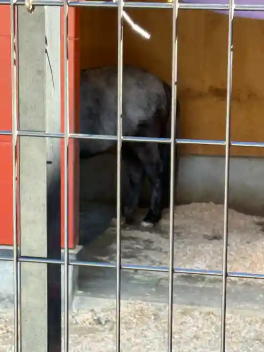 神田神社(神田明神)の{uncategorized: "未分類", other: "その他", undefined: "問題あり", building: "その他建物", grave: "お墓", sacred_gate: "鳥居", guardian: "狛犬", statue: "像", buddha: "仏像", history: "歴史", nature: "自然", garden: "庭園", animal: "動物", pagoda: "塔", temizu: "手水舎", mountain_gate: "山門・神門", sanctuary: "本殿・本堂", subordinate: "末社・摂社", art: "芸術", scenery: "景色", jizo: "地蔵", ema: "絵馬", goshuin: "御朱印", omikuji: "おみくじ", items: "授与品その他", amulet: "お守り", goshuincho: "御朱印帳", eats: "食事", festival: "お祭り", votive_dance: "神楽", shichigosan: "七五三参", wedding: "結婚式", experience: "体験その他", initially: "初詣", around: "周辺", anti_infection: "感染症対策"}