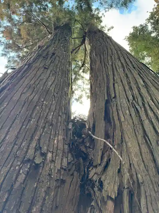 鹿島大神宮(福島県)