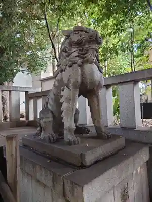 渋谷氷川神社の狛犬