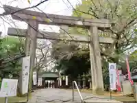 上野東照宮の鳥居