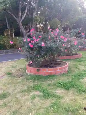 平塚八幡宮(神奈川県)