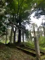 八幡神社の鳥居