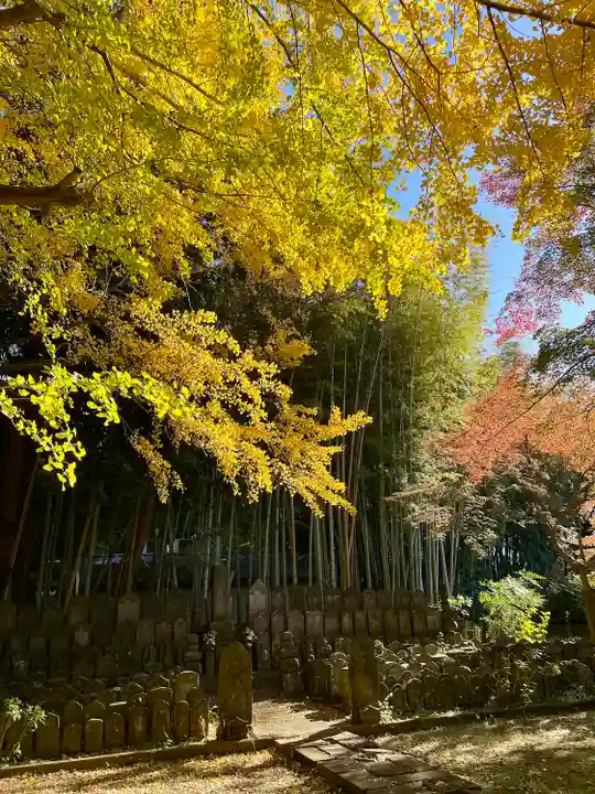 東漸寺(千葉県)