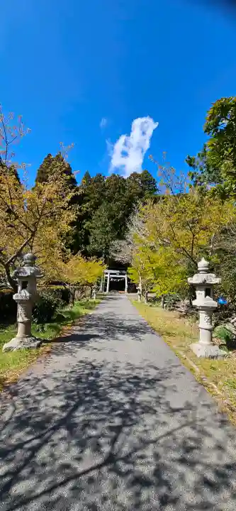 春日神社の{uncategorized: "未分類", other: "その他", undefined: "問題あり", building: "その他建物", grave: "お墓", sacred_gate: "鳥居", guardian: "狛犬", statue: "像", buddha: "仏像", history: "歴史", nature: "自然", garden: "庭園", animal: "動物", pagoda: "塔", temizu: "手水舎", mountain_gate: "山門・神門", sanctuary: "本殿・本堂", subordinate: "末社・摂社", art: "芸術", scenery: "景色", jizo: "地蔵", ema: "絵馬", goshuin: "御朱印", omikuji: "おみくじ", items: "授与品その他", amulet: "お守り", goshuincho: "御朱印帳", eats: "食事", festival: "お祭り", votive_dance: "神楽", shichigosan: "七五三参", wedding: "結婚式", experience: "体験その他", initially: "初詣", around: "周辺", anti_infection: "感染症対策"}