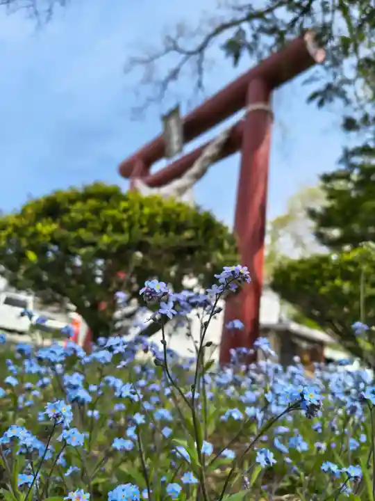 別海神社(北海道)