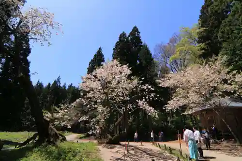 磐椅神社の景色