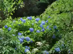 龍尾神社の自然