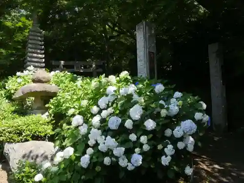 浄慶寺の庭園