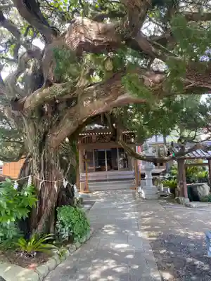 善徳寺(和歌山県)