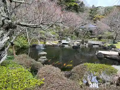 長谷寺(神奈川県)