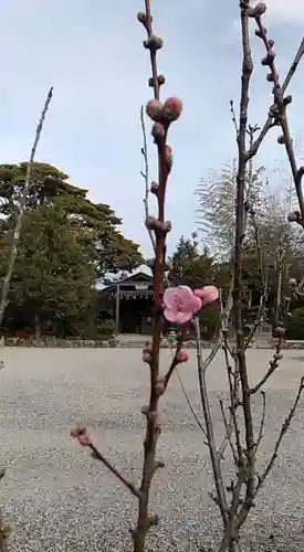 比佐豆知神社(三重県)