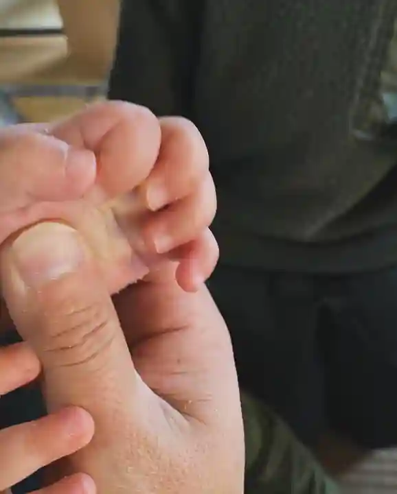 鳳仙寺(栃木県)