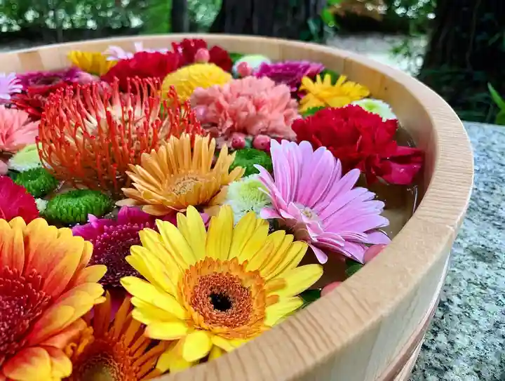 滑川神社 - 仕事と子どもの守り神の手水舎