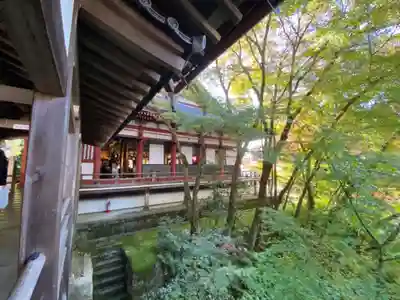 禅林寺（永観堂）の本殿・本堂