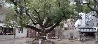 難波神社(大阪府)