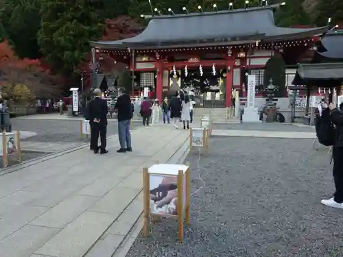 大山阿夫利神社の本殿・本堂