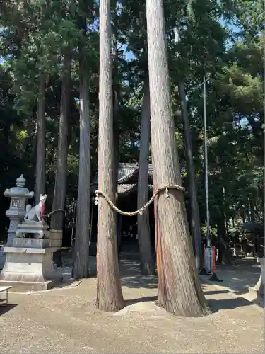 豊川閣　妙厳寺(愛知県)