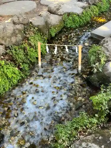川越氷川神社の{uncategorized: "未分類", other: "その他", undefined: "問題あり", building: "その他建物", grave: "お墓", sacred_gate: "鳥居", guardian: "狛犬", statue: "像", buddha: "仏像", history: "歴史", nature: "自然", garden: "庭園", animal: "動物", pagoda: "塔", temizu: "手水舎", mountain_gate: "山門・神門", sanctuary: "本殿・本堂", subordinate: "末社・摂社", art: "芸術", scenery: "景色", jizo: "地蔵", ema: "絵馬", goshuin: "御朱印", omikuji: "おみくじ", items: "授与品その他", amulet: "お守り", goshuincho: "御朱印帳", eats: "食事", festival: "お祭り", votive_dance: "神楽", shichigosan: "七五三参", wedding: "結婚式", experience: "体験その他", initially: "初詣", around: "周辺", anti_infection: "感染症対策"}