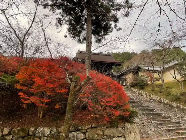 毘沙門堂門跡(京都府)