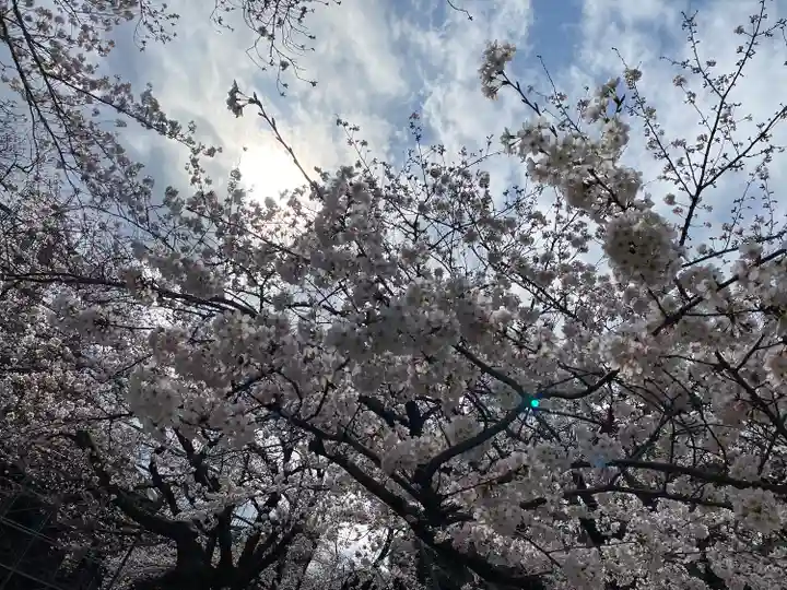 法華経寺の自然