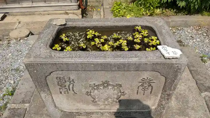 天祐寺の手水舎