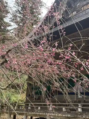 国上寺(新潟県)