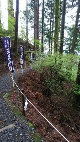 玉置神社の自然