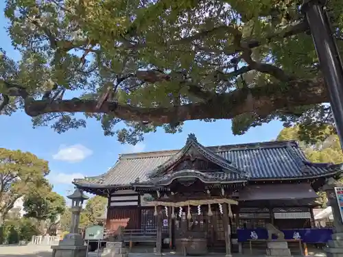 百舌鳥八幡宮(大阪府)
