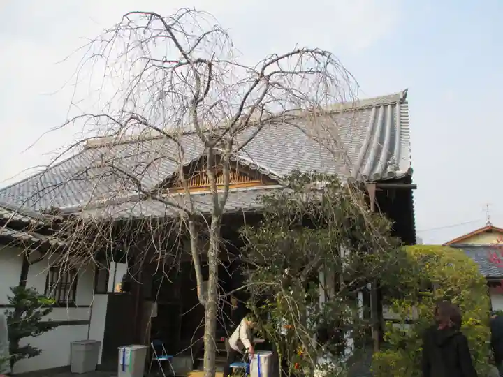 大法院(京都府)