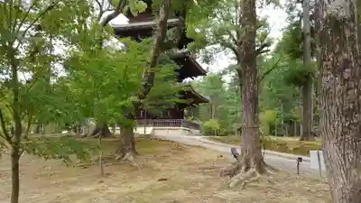 仁和寺のその他建物