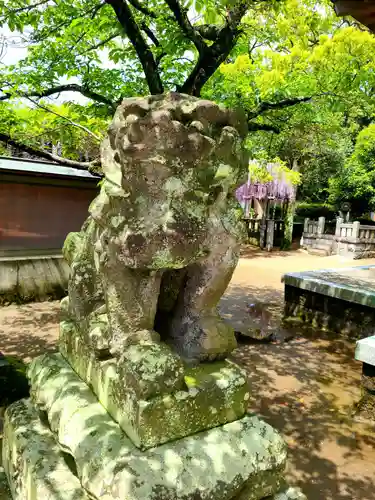 天満神社の狛犬