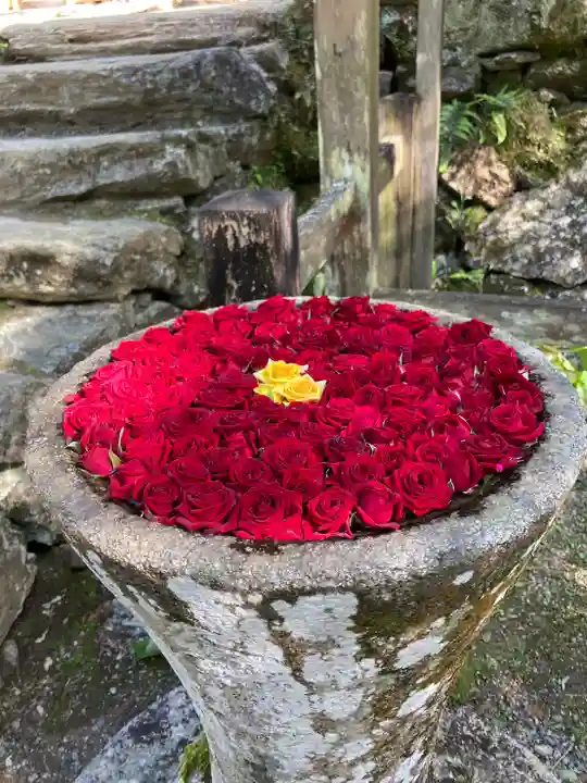 丹生都比売神社(和歌山県)