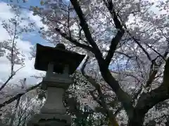 藤島神社（贈正一位新田義貞公之大宮）の自然